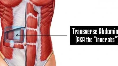 Transverse Abdominus
