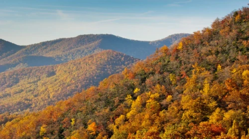 Orthopedic Doctors Boone, NC