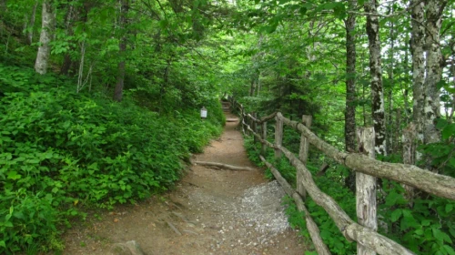 Appalachian Trail Hikes Near Charlotte