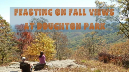 Feasting on Fall Views at Doughton Park