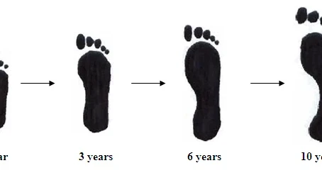 Foot Diagram