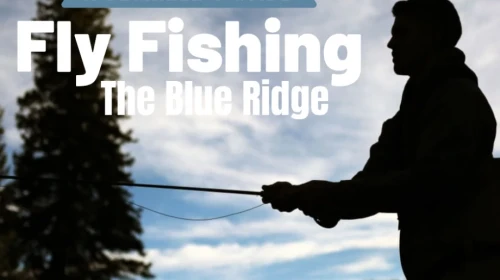 A Beginner's Guide to Fishing