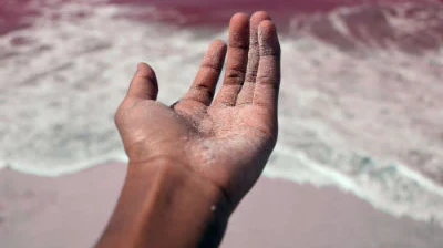 ​The southeast leader in hand and wrist care, OrthoCarolina Hand.