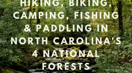 Hiking, Biking, camping, fishing, and paddling in North Carolina's 4 National Forests