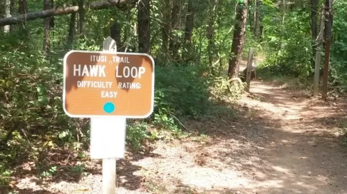 Lake Norman State Park - Trail Running