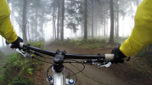Roots Rated Mountain Biking