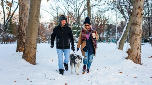 5 Ways to Safely Spend Time Outside This Winter