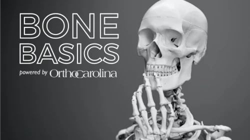 Bone Basics