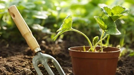 gardening