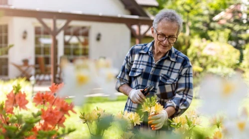 Light Activities Like Gardening Are Good for Your Physical Health