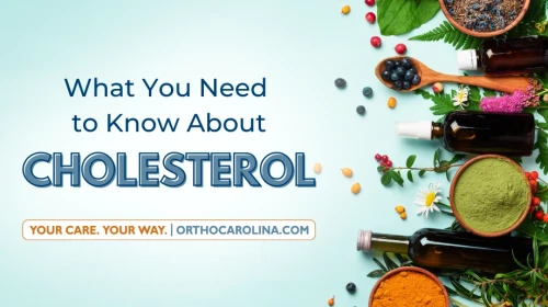 What Is Cholesterol? Plus, 5 Foods to Improve Your Cholesterol Levels