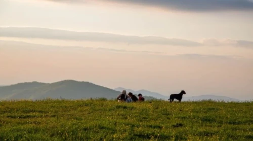 8 State Parks in North Carolina You Don't Want to Miss
