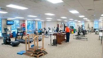 World Physical Therapy Day