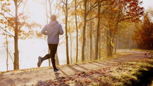 How to Start Working Out Again & Stick With It