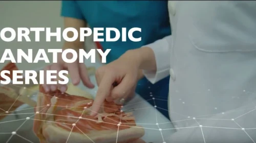 Orthopedic Anatomy Series by OrthoCarolina