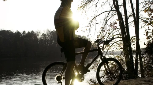 Riding Bikes