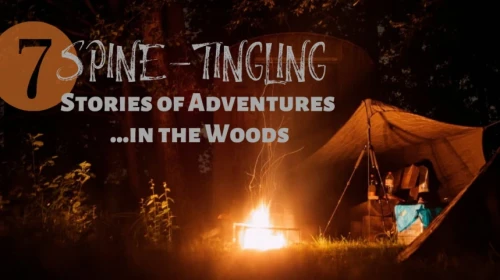 7 Spine-Tingling Stories of Adventures...in the woods