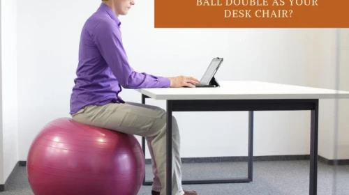 Exercise Ball Chair