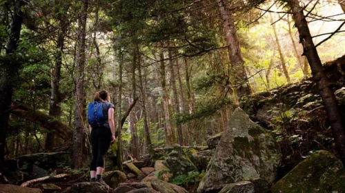 Spring Hike in Charlotte