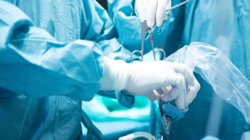 Orthopedic research fellows