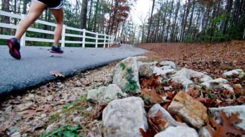 Running with OrthoCarolina