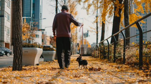 When the Weather Cools, Joint Pain Creeps In: Why Fall Triggers Inflammation