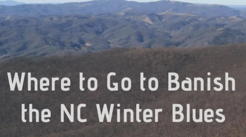 Where to go to banish NC winter blues