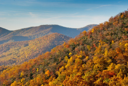 Orthopedic Doctors Boone, NC