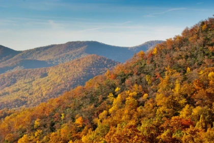 Orthopedic Doctors Boone, NC