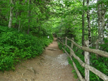 Appalachian Trail Hikes Near Charlotte