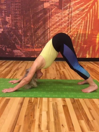 Downward-Facing Dog - Yoga Pose