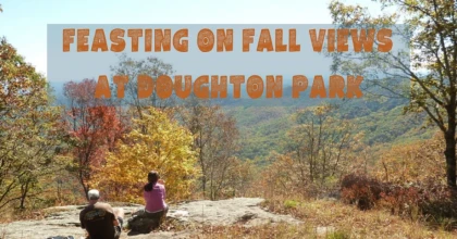 Feasting on Fall Views at Doughton Park