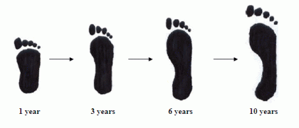 Foot Diagram