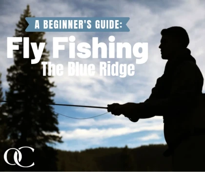 A Beginner's Guide to Fishing