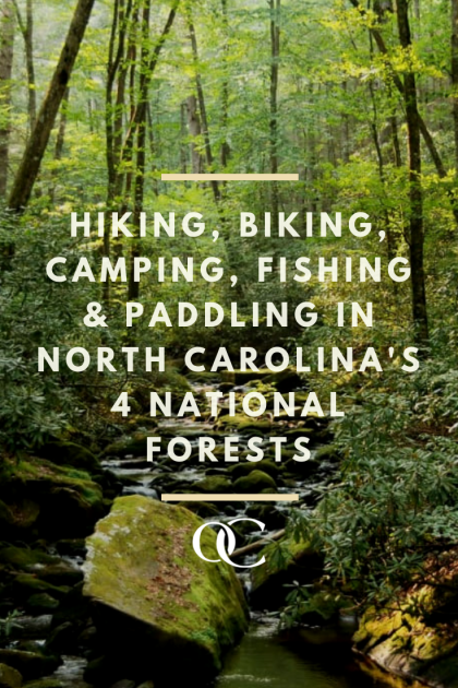 Hiking, Biking, camping, fishing, and paddling in North Carolina's 4 National Forests