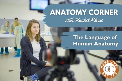 Anatomy Language | How Body Parts Are Named