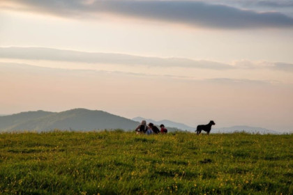 8 State Parks in North Carolina You Don't Want to Miss