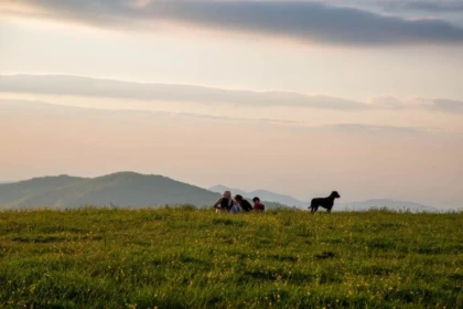 8 State Parks in North Carolina You Don't Want to Miss