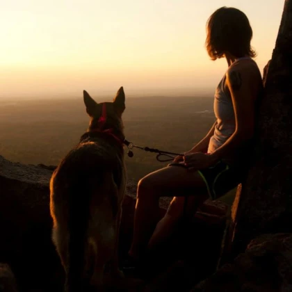 Dog and Running