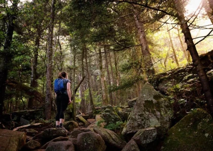 Spring Hike in Charlotte