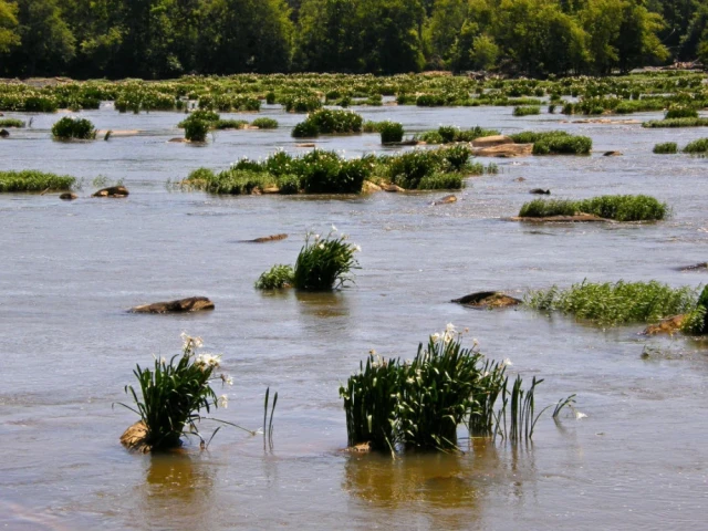 Outdoor Adventures in Charlotte