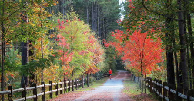 12 of the Best Rail Trails in the Southeast