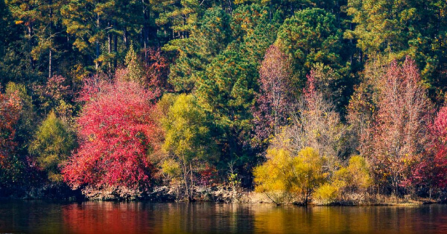 20+ Family-Friendly Fall Adventures in North Carolina’s Triad and Triangle