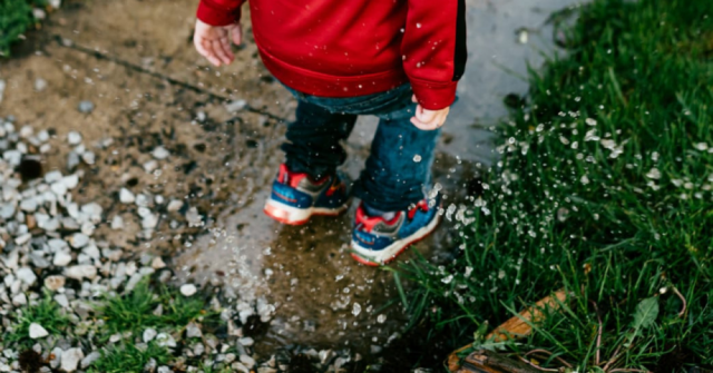 A Family Guide for the NC Kids in Parks Program