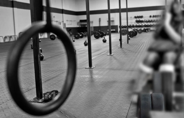 crossfit rings