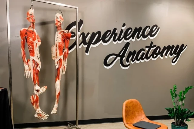 Experience Anatomy | Virtual Orthopedic Panel