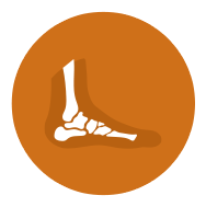 Foot & Ankle | Orthopedics