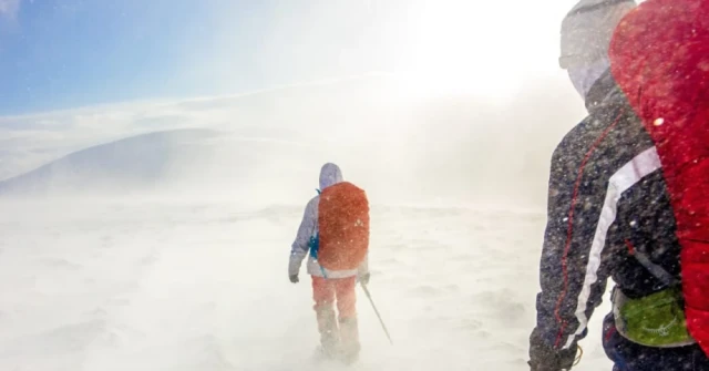 Winter Hike with OrthoCarolina