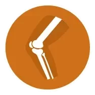 orthocarolina-knee-logo