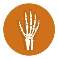 orthocarolina-hand-wrist-and-elbow-logo
